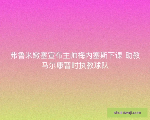 弗鲁米嫩塞宣布主帅梅内塞斯下课 助教马尔康暂时执教球队